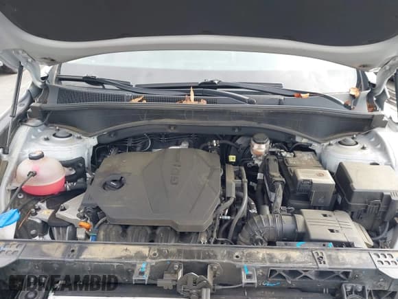 ✅ 2023 Hyundai Santa Fe SEL • VIN: 5NMS3DAJ0PH592055 • Lot: 43742005. Wystawiony na IAAI z przebiegiem 43 790 mil. Bezpłatny archiwum sprzedaży aukcyjnych z USA i szczegółowy raport historii pojazdu na DreamBid. Zdjęcie 10.