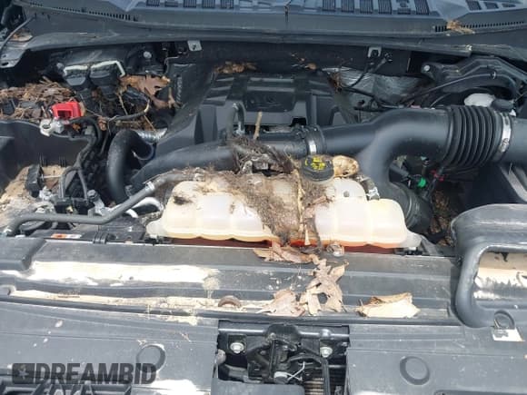 ✅ 2016 Ford F-150 XLT • VIN: 1FTEW1EP9GFC45015 • Lot: 42870520. Wystawiony na IAAI z przebiegiem Nie podano. Bezpłatny archiwum sprzedaży aukcyjnych z USA i szczegółowy raport historii pojazdu na DreamBid. Zdjęcie 10.