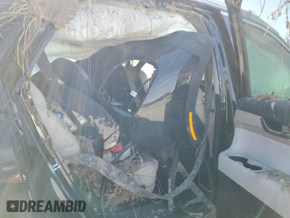 ✅ 2020 Hyundai Palisade SEL • VIN: KM8R44HE7LU134239 • Лот: 87166504. Опубликован ранее на Copart с пробегом Не указан. Бесплатный доступ к архиву аукционных продаж из США и подробный отчёт об истории автомобиля на DreamBid. Изображение 11.