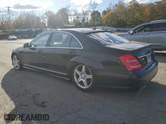 ✅ 2010 Mercedes-Benz S 550 • VIN: WDDNG8GB7AA347088 • Lot: 90147715. Wystawiony na Copart z przebiegiem 102 002 mil. Bezpłatny archiwum sprzedaży aukcyjnych z USA i szczegółowy raport historii pojazdu na DreamBid. Zdjęcie 2.