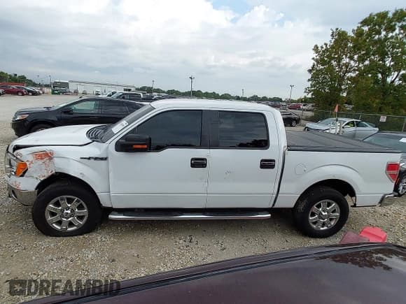 ✅ 2013 Ford F-150 Platinum • VIN: 1FTFW1EF4DFC04251 • Lot: 43256599. Listed on IAAI with 93,216 mi. Free auction sales archive from the USA and detailed vehicle history report at DreamBid. Image 14.