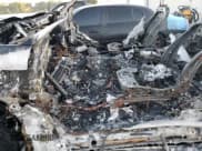 ✅ 2024 Ford F-150 XLT • VIN: 1FTEW3KP8RKD79184 • Lot: 83860945. Listed on Copart with Not provided. Free auction sales archive from the USA and detailed vehicle history report at DreamBid. Image 7.