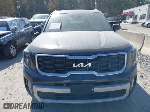 ✅ 2025 Kia Telluride S • VIN: 5XYP6DGC3SG694734 • Lot: 43486739. Listed on IAAI with 2,197 mi. Free auction sales archive from the USA and detailed vehicle history report at DreamBid. Image 12.