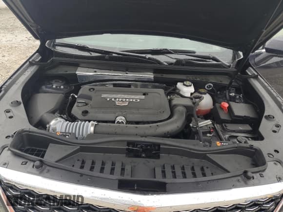 ✅ 2024 Cadillac XT4 FWD Premium Luxury • VIN: 1GYFZCR42RF209431 • Lot: 82129885. Listed on Copart with 3,245 mi. Free auction sales archive from the USA and detailed vehicle history report at DreamBid. Image 12.