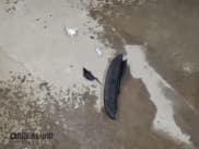 ✅ 2008 Chevrolet Aveo LS • VIN: KL1TD66638B135240 • Lot: 44612315. Wystawiony na Copart z przebiegiem 159 712 mil. Bezpłatny archiwum sprzedaży aukcyjnych z USA i szczegółowy raport historii pojazdu na DreamBid. Zdjęcie 12.