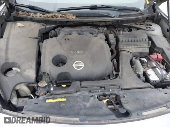 ✅ 2009 Nissan Maxima SV • VIN: 1N4AA51E19C829377 • Lot: 43758750. Wystawiony na IAAI z przebiegiem 228 884 mil. Bezpłatny archiwum sprzedaży aukcyjnych z USA i szczegółowy raport historii pojazdu na DreamBid. Zdjęcie 8.