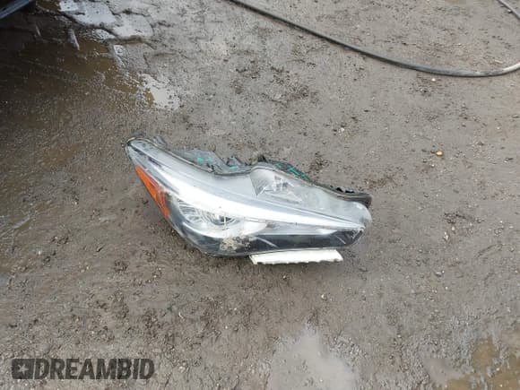 ✅ 2021 Infiniti Q50 Luxe • VIN: JN1EV7BP8MM707617 • Lot: 41498217. Listed on IAAI with 60,760 mi. Free auction sales archive from the USA and detailed vehicle history report at DreamBid. Image 12.