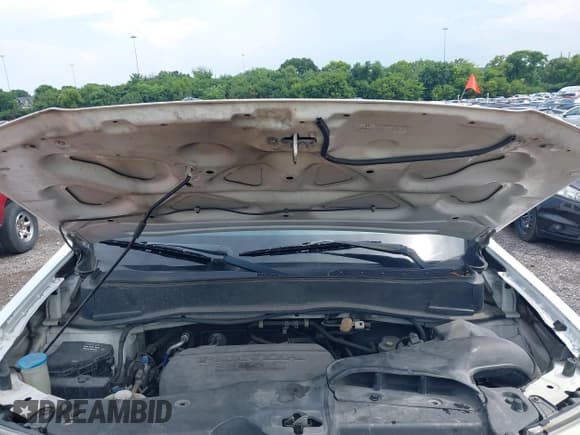 ✅ 2011 Honda Pilot EX-L • VIN: 5FNYF3H7XBB033953 • Лот: 42806591. Опубликован ранее на IAAI с пробегом 313 876 миль. Бесплатный доступ к архиву аукционных продаж из США и подробный отчёт об истории автомобиля на DreamBid. Изображение 10.