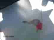 2002 Dodge Dakota Sport z VIN 1B7GL32X52S618892, wystawiony jako IAAI lot #42599446 z przebiegiem 161 214 mil mil oraz . Historia ofert i sprzedaży dostępna na DreamBid. Obrazek 11.