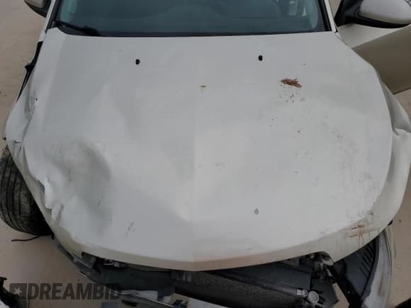 ✅ 2016 Chevrolet Cruze LT • VIN: 1G1PE5SB4G7206122 • Lot: 82483565. Listed on Copart with Not provided. Free auction sales archive from the USA and detailed vehicle history report at DreamBid. Image 11.