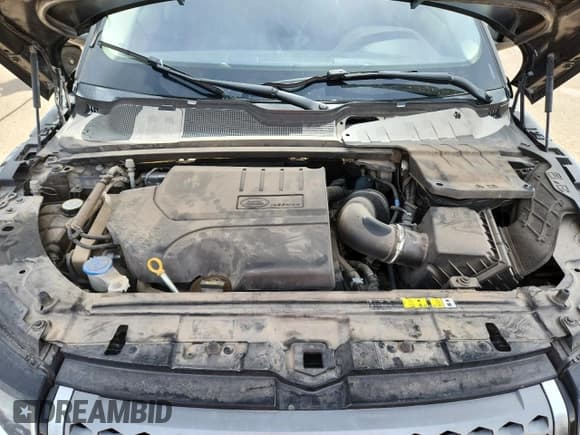 ✅ 2018 Land Rover Range Rover Evoque SE • VIN: SALVP2RX9JH277514 • Лот: 72006335. Опубликован ранее на Copart с пробегом 38 502 миль. Бесплатный доступ к архиву аукционных продаж из США и подробный отчёт об истории автомобиля на DreamBid. Изображение 11.