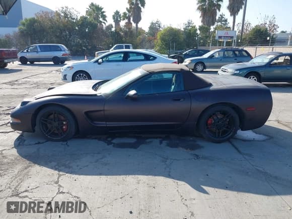 ✅ 2001 Chevrolet Corvette • VIN: 1G1YY32G915117922 • Lot: 43833203. Listed on IAAI with 128,921 mi. Free auction sales archive from the USA and detailed vehicle history report at DreamBid. Image 14.