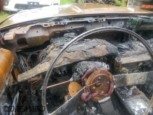 ✅ 1984 Buick Regal • VIN: 1G4AK4798EH544910 • Лот: 70355085. Опубликован ранее на Copart с пробегом Не указан. Бесплатный доступ к архиву аукционных продаж из США и подробный отчёт об истории автомобиля на DreamBid. Изображение 9.