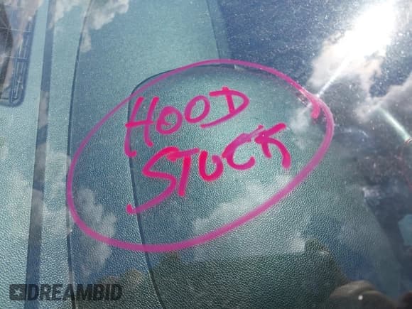 ✅ 2009 Chevrolet Silverado 1500 • VIN: 1GCEC24C49Z103492 • Lot: 43047830. Wystawiony na IAAI z przebiegiem Nie podano. Bezpłatny archiwum sprzedaży aukcyjnych z USA i szczegółowy raport historii pojazdu na DreamBid. Zdjęcie 10.