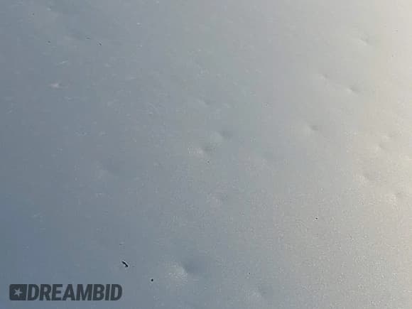 ✅ 2008 Honda Odyssey EX-L • VIN: 5FNRL38618B021168 • Lot: 43061366. Wystawiony na IAAI z przebiegiem 217 739 mil. Bezpłatny archiwum sprzedaży aukcyjnych z USA i szczegółowy raport historii pojazdu na DreamBid. Zdjęcie 6.