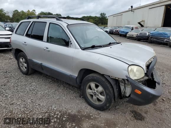 2005 Hyundai Santa Fe GLS with VIN KM8SC13E45U894450, listed as a Copart auction lot 81126475 with 117,824 mi miles and Salvage title. Bid and sale history available at DreamBid. Image 4.