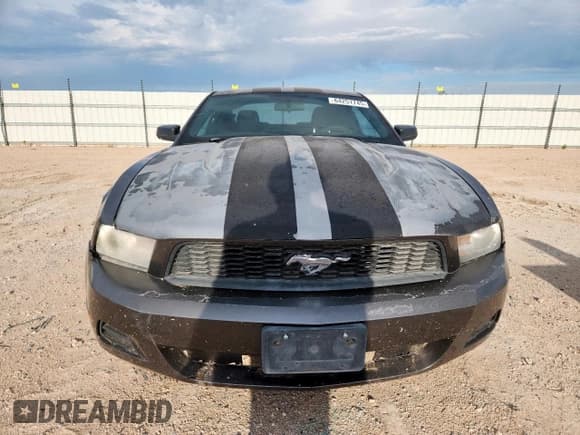✅ 2010 Ford Mustang V6 • VIN: 1ZVBP8AN9A5120684 • Lot: 64251745. Listed on Copart with 262,945 mi. Free auction sales archive from the USA and detailed vehicle history report at DreamBid. Image 5.