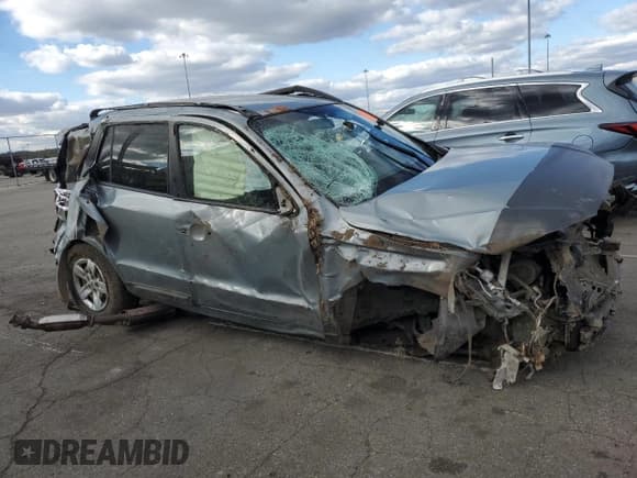 ✅ 2009 Hyundai Santa Fe GLS • VIN: 5NMSG13D69H276978 • Lot: 76225204. Listed on Copart with 178,871 mi. Free auction sales archive from the USA and detailed vehicle history report at DreamBid. Image 4.