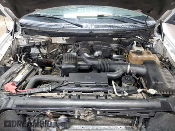 ✅ 2010 Ford F-150 XL • VIN: 1FTFW1EV2AKC36531 • Lot: 53330455. Listed on Copart with 274,593 mi. Free auction sales archive from the USA and detailed vehicle history report at DreamBid. Image 11.