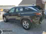 2024 Hyundai Tucson SE with VIN 5NMJACDE1RH434689, listed as a Copart auction lot 81335995 with 6,928 mi miles and Salvage title. Bid and sale history available at DreamBid. Image 2.