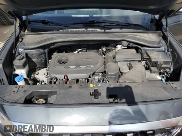 2020 Hyundai Santa Fe SEL z VIN 5NMS33AD4LH241549, wystawiony jako Copart lot #39522853 z przebiegiem 43 190 mil mil oraz . Historia ofert i sprzedaży dostępna na DreamBid. Obrazek 12.