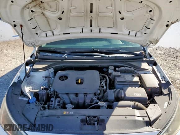 2019 Hyundai Elantra SE z VIN 5NPD74LF4KH456934, wystawiony jako Copart lot #87435705 z przebiegiem 170 225 mil mil oraz Czysty tytuł • Clean title. Historia ofert i sprzedaży dostępna na DreamBid. Obrazek 11.