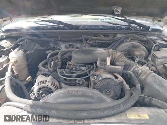 ✅ 1999 Chevrolet Blazer Trailblazer • VIN: 1GNDT13W4X2208791 • Lot: 42281876. Wystawiony na IAAI z przebiegiem 261 605 mil. Bezpłatny archiwum sprzedaży aukcyjnych z USA i szczegółowy raport historii pojazdu na DreamBid. Zdjęcie 10.