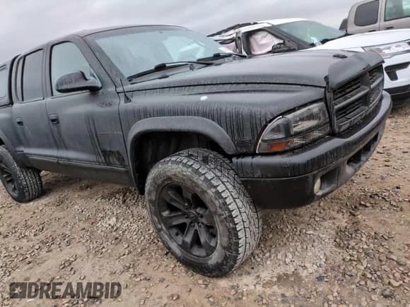 ✅ 2000 Dodge Dakota Sport • VIN: 1B7GG2AN1YS698330 • Lot: 43541235. Wystawiony na Copart z przebiegiem 160 505 mil. Bezpłatny archiwum sprzedaży aukcyjnych z USA i szczegółowy raport historii pojazdu na DreamBid. Zdjęcie 10.