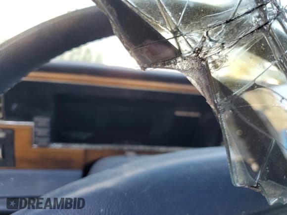 ✅ 1991 Lincoln Continental • VIN: 1LNCM9749MY645019 • Lot: 45177554. Wystawiony na Copart z przebiegiem Nie podano. Bezpłatny archiwum sprzedaży aukcyjnych z USA i szczegółowy raport historii pojazdu na DreamBid. Zdjęcie 9.