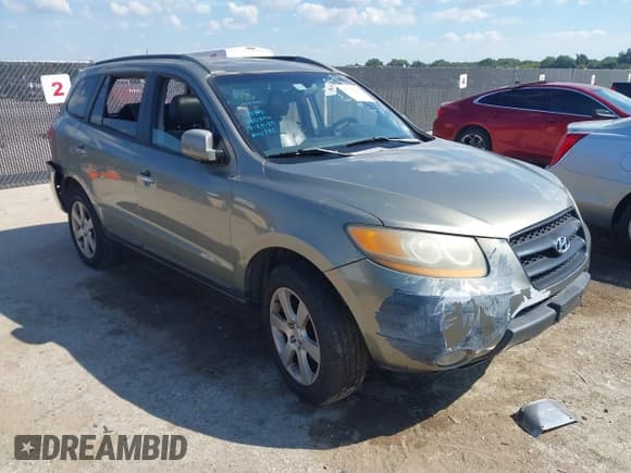 ✅ 2008 Hyundai Santa Fe SE • VIN: 5NMSH13E48H176897 • Lot: 43311941. Listed on IAAI with 196,763 mi. Free auction sales archive from the USA and detailed vehicle history report at DreamBid. Image 1.