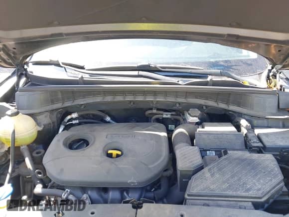 2017 Hyundai Tucson SE с VIN KM8J3CA44HU290757, выставлен на аукционе IAAI как лот 43267069 с пробегом 120 625 миль миль и . История ставок и продаж доступна на DreamBid. Изображение 10.