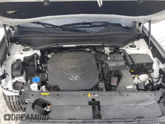 2020 Hyundai Palisade Limited с VIN KM8R54HE6LU135654, выставлен на аукционе Copart как лот 64886034 с пробегом 51 269 миль миль и Списание • Salvage title. История ставок и продаж доступна на DreamBid. Изображение 13.