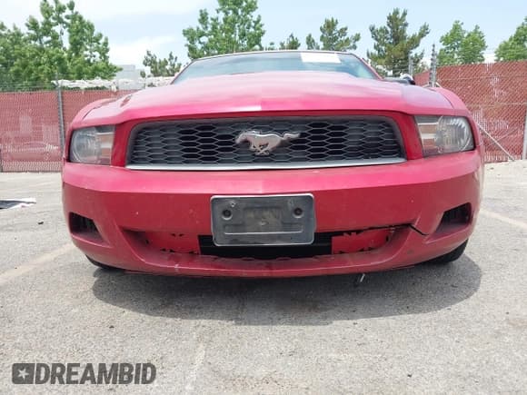✅ 2010 Ford Mustang V6 • VIN: 1ZVBP8AN7A5124961 • Lot: 42522411. Listed on IAAI with 159,250 mi. Free auction sales archive from the USA and detailed vehicle history report at DreamBid. Image 6.