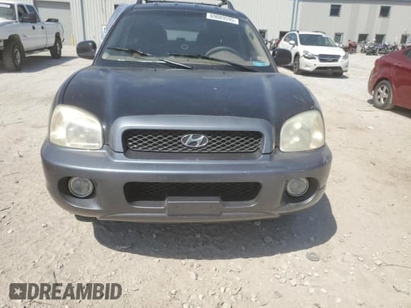 ✅ 2004 Hyundai Santa Fe GLS • VIN: KM8SC13E24U667076 • Lot: 69089595. Listed on Copart with 203,786 mi. Free auction sales archive from the USA and detailed vehicle history report at DreamBid. Image 5.