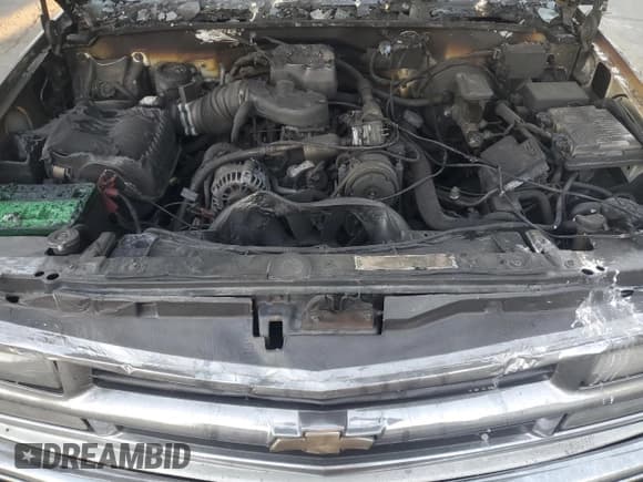 ✅ 1999 Chevrolet Suburban • VIN: 3GNEC16R5XG109155 • Lot: 79766644. Wystawiony na Copart z przebiegiem Nie podano. Bezpłatny archiwum sprzedaży aukcyjnych z USA i szczegółowy raport historii pojazdu na DreamBid. Zdjęcie 12.