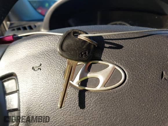 ✅ 2007 Hyundai Sonata SE • VIN: 5NPEU46F87H176319 • Lot: 43635019. Listed on IAAI with 202,162 mi. Free auction sales archive from the USA and detailed vehicle history report at DreamBid. Image 11.