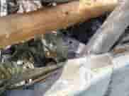 ✅ 2014 Dodge Charger RT • VIN: 2C3CDXCT8EH282587 • Lot: 42580556. Listed on IAAI with Not provided. Free auction sales archive from the USA and detailed vehicle history report at DreamBid. Image 9.