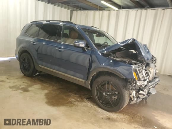 ✅ 2023 Kia Telluride EX X-Line • VIN: 5XYP3DGCXPG396410 • Lot: 68757245. Wystawiony na Copart z przebiegiem 76 020 mil. Bezpłatny archiwum sprzedaży aukcyjnych z USA i szczegółowy raport historii pojazdu na DreamBid. Zdjęcie 4.