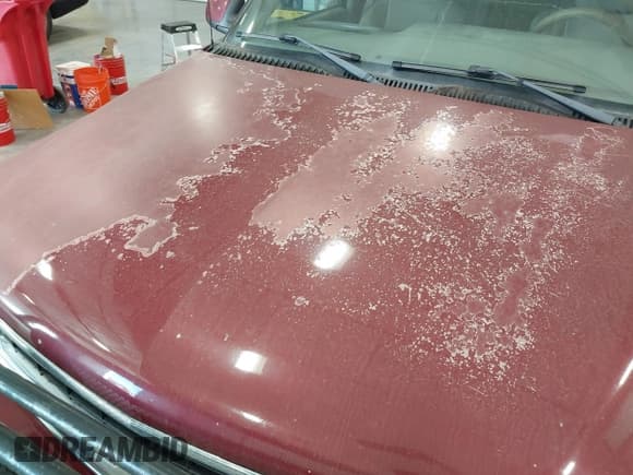 ✅ 2004 Chevrolet Suburban LT • VIN: 3GNFK16Z44G298982 • Лот: 43628747. Опубликован ранее на IAAI с пробегом 236 302 миль. Бесплатный доступ к архиву аукционных продаж из США и подробный отчёт об истории автомобиля на DreamBid. Изображение 12.