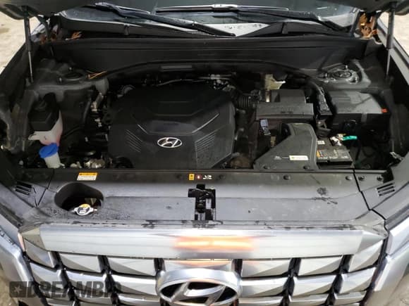 ✅ 2024 Hyundai Palisade Calligraphy • VIN: KM8R7DGEXRU659717 • Лот: 86487794. Опубликован ранее на Copart с пробегом 31 373 миль. Бесплатный доступ к архиву аукционных продаж из США и подробный отчёт об истории автомобиля на DreamBid. Изображение 12.