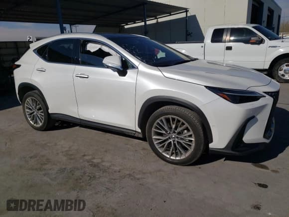 ✅ 2022 Lexus NX 350h Luxury • VIN: JTJHKCEZ5N5003392 • Lot: 81854493. Listed on Copart with 19,653 mi. Free auction sales archive from the USA and detailed vehicle history report at DreamBid. Image 4.