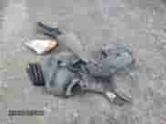 2007 BMW 3 Series 328xi с VIN WBAWC33517PD07950, выставлен на аукционе Copart как лот 85705315 с пробегом 200 867 миль миль и Чистый • Clean title. История ставок и продаж доступна на DreamBid. Изображение 12.