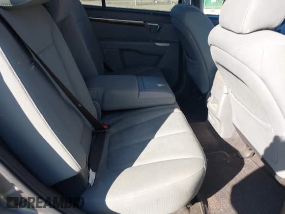 ✅ 2010 Hyundai Santa Fe GLS • VIN: 5NMSGDAB8AH372327 • Lot: 43668861. Listed on IAAI with 88,475 mi. Free auction sales archive from the USA and detailed vehicle history report at DreamBid. Image 8.