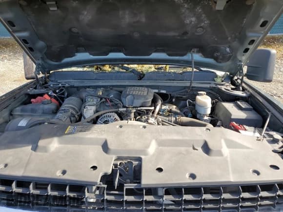 ✅ 2009 Chevrolet Silverado 2500HD LT • VIN: 1GCHK53679F184986 • Лот: 47047085. Опубликован ранее на Copart с пробегом 160 847 миль. Бесплатный доступ к архиву аукционных продаж из США и подробный отчёт об истории автомобиля на DreamBid. Изображение 12.