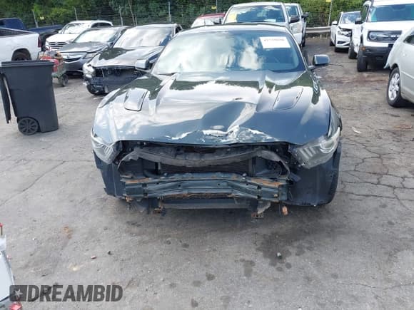 ✅ 2015 Ford Mustang GT • VIN: 1FA6P8CF5F5348981 • Lot: 42739850. Listed on IAAI with 102,243 mi. Free auction sales archive from the USA and detailed vehicle history report at DreamBid. Image 6.