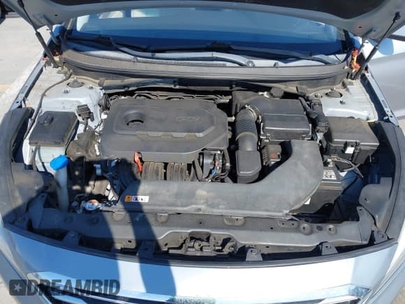 ✅ 2017 Hyundai Sonata 2.4L • VIN: 5NPE24AF1HH491347 • Lot: 43126346. Listed on IAAI with 124,651 mi. Free auction sales archive from the USA and detailed vehicle history report at DreamBid. Image 10.