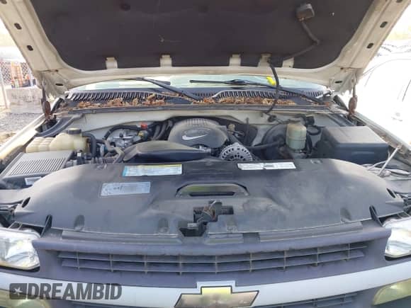 2001 Chevrolet Silverado 1500 с VIN 1GCEK14V21Z288760, выставлен на аукционе IAAI как лот 42963517 с пробегом 141 268 миль миль и . История ставок и продаж доступна на DreamBid. Изображение 10.