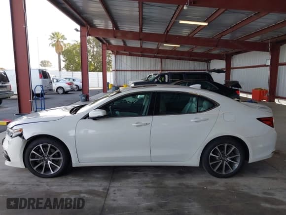 ✅ 2015 Acura TLX Technology • VIN: 19UUB2F57FA011589 • Lot: 43323374. Listed on IAAI with 118,152 mi. Free auction sales archive from the USA and detailed vehicle history report at DreamBid. Image 14.