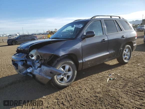 2005 Hyundai Santa Fe GLS с VIN KM8SC73D95U989158, выставлен на аукционе Copart как лот 49439485 с пробегом 151 332 миль миль и Списание • Salvage title. История ставок и продаж доступна на DreamBid. Изображение 1.