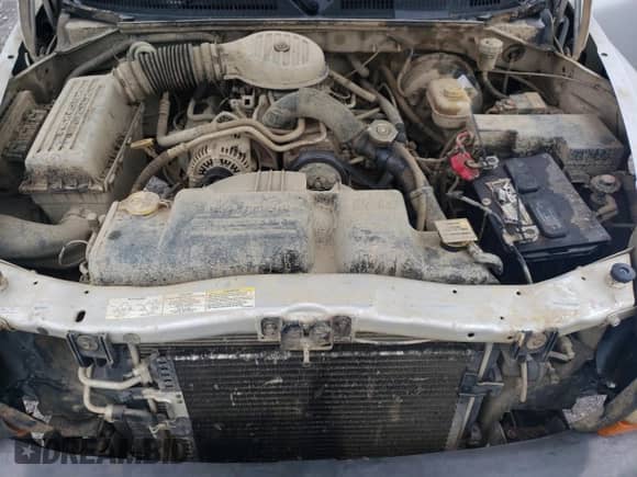 2003 Dodge Dakota with VIN 1D7GG16X83S359504, listed as a Copart auction lot 52782385 with 153,493 mi miles and Clean title. Bid and sale history available at DreamBid. Image 13.